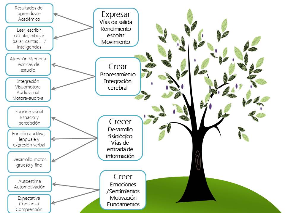 actividades pedagogicas